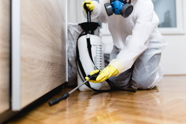 Best Mosquito Control Services  in Allen, TX