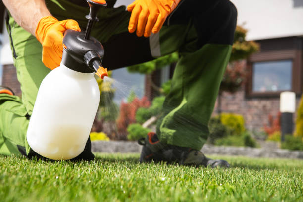 Best Rat Extermination Near Me  in Allen, TX