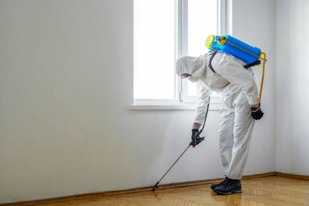 Best Pest Inspection Near Me  in Allen, TX