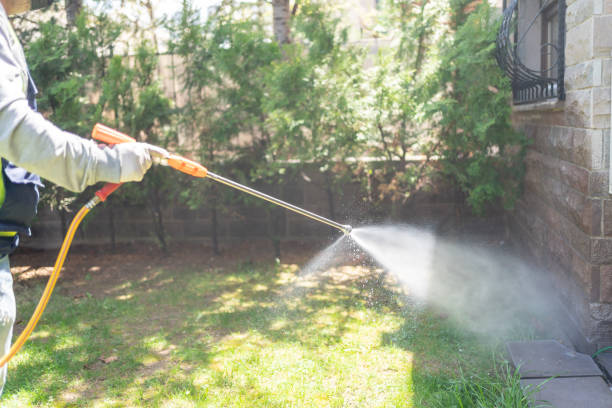 Best Affordable Pest Control Services  in Allen, TX