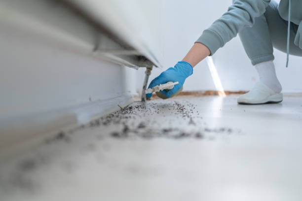 Best Affordable Exterminators  in Allen, TX